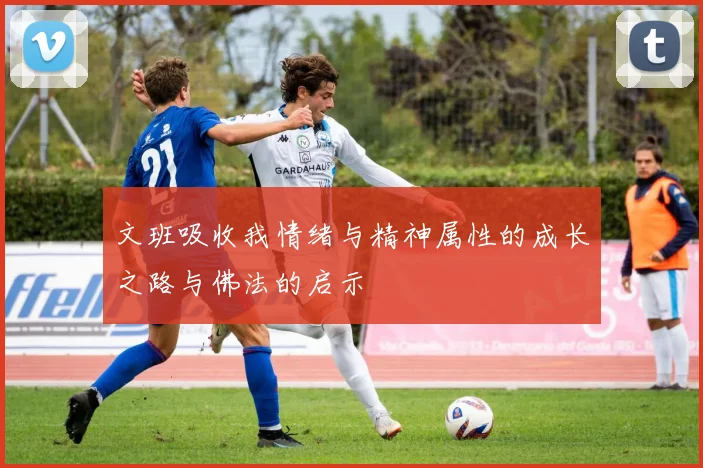 文班吸收我情绪与精神属性的成长之路与佛法的启示